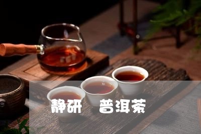 静研 普洱茶/2023042796546